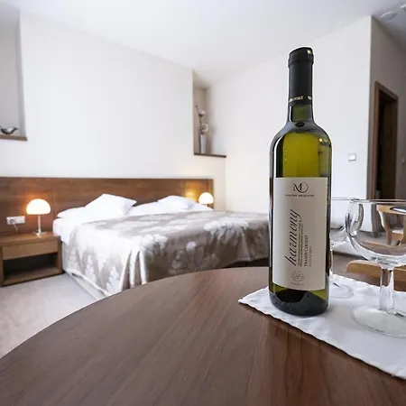 Mario Hotel Lednice